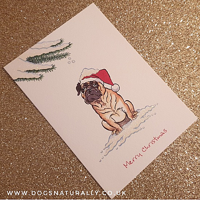 Pug Christmas Card (Flitter Range)